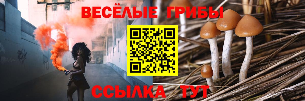 Псилоцибиновые грибы Cubensis  Вход с VPN  Соль-Илецк 