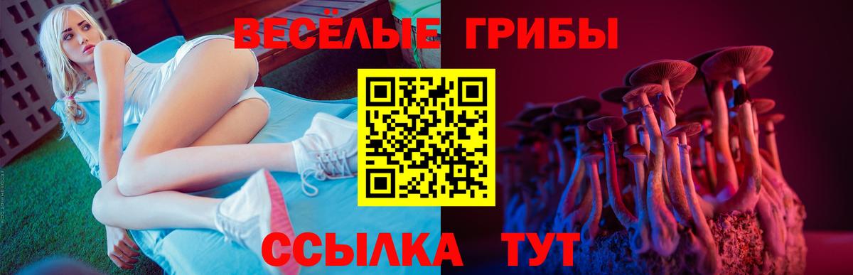 Псилоцибиновые грибы мицелий Соль-Илецк